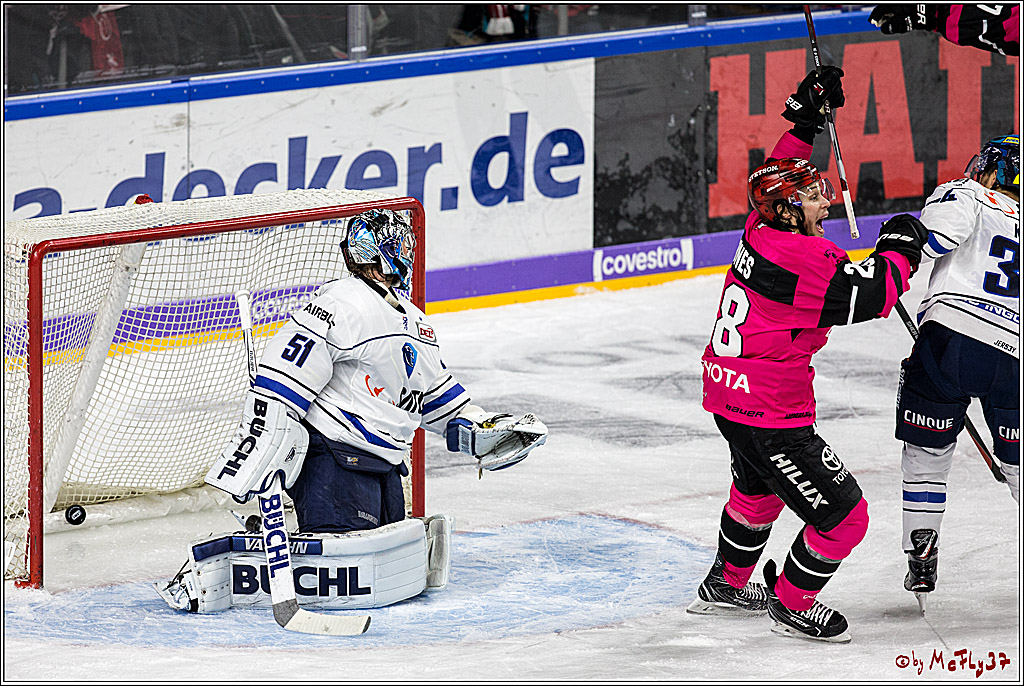 DEL, Koelner Haie - ERC Ingolstadt, 31.10.2017
