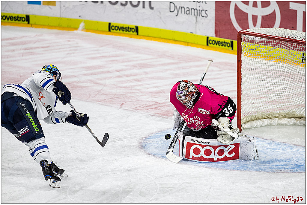 DEL, Koelner Haie - ERC Ingolstadt, 31.10.2017