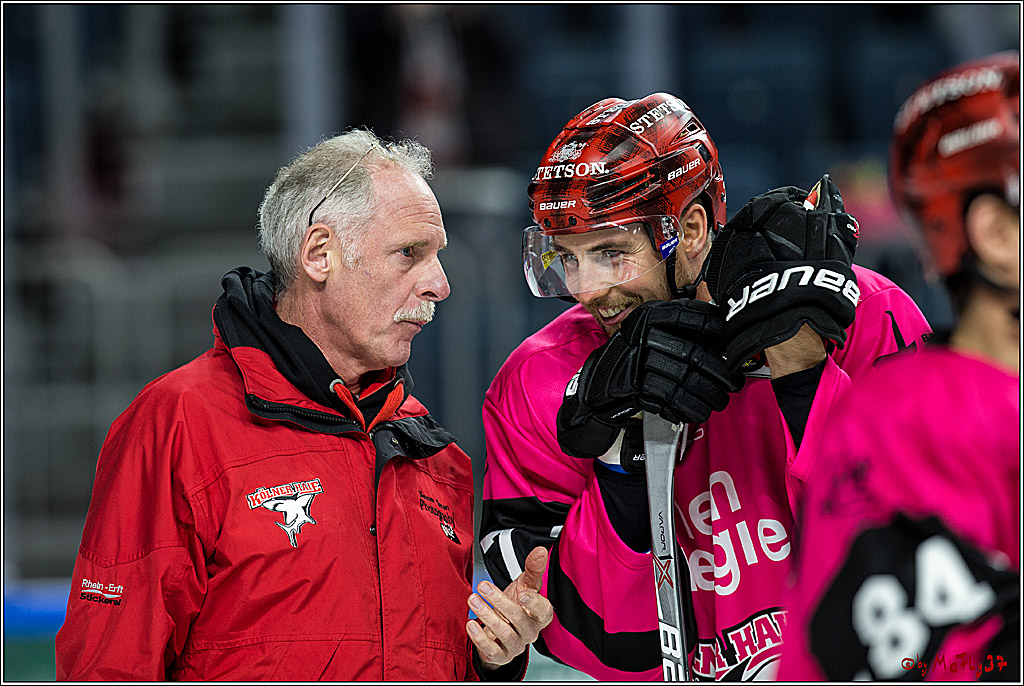DEL, Koelner Haie - ERC Ingolstadt, 31.10.2017