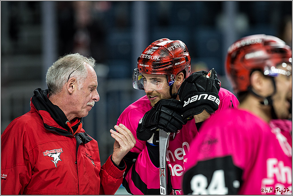DEL, Koelner Haie - ERC Ingolstadt, 31.10.2017