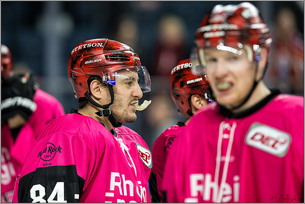 DEL, Koelner Haie - ERC Ingolstadt, 31.10.2017
