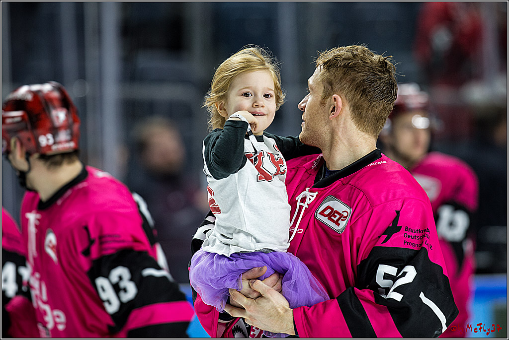 DEL, Koelner Haie - ERC Ingolstadt, 31.10.2017
