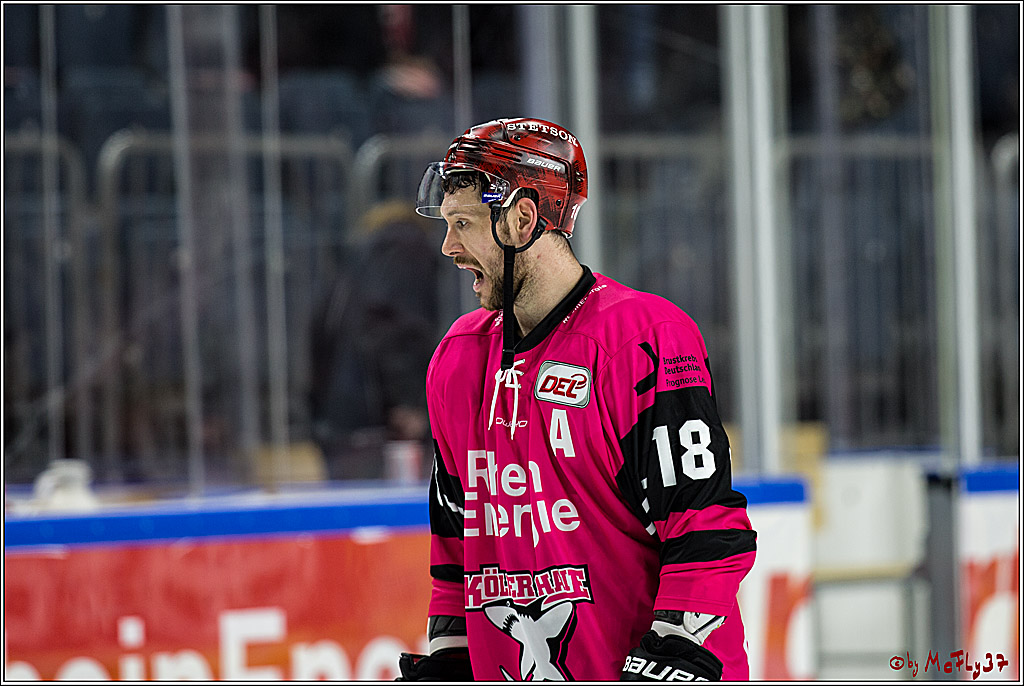 DEL, Koelner Haie - ERC Ingolstadt, 31.10.2017