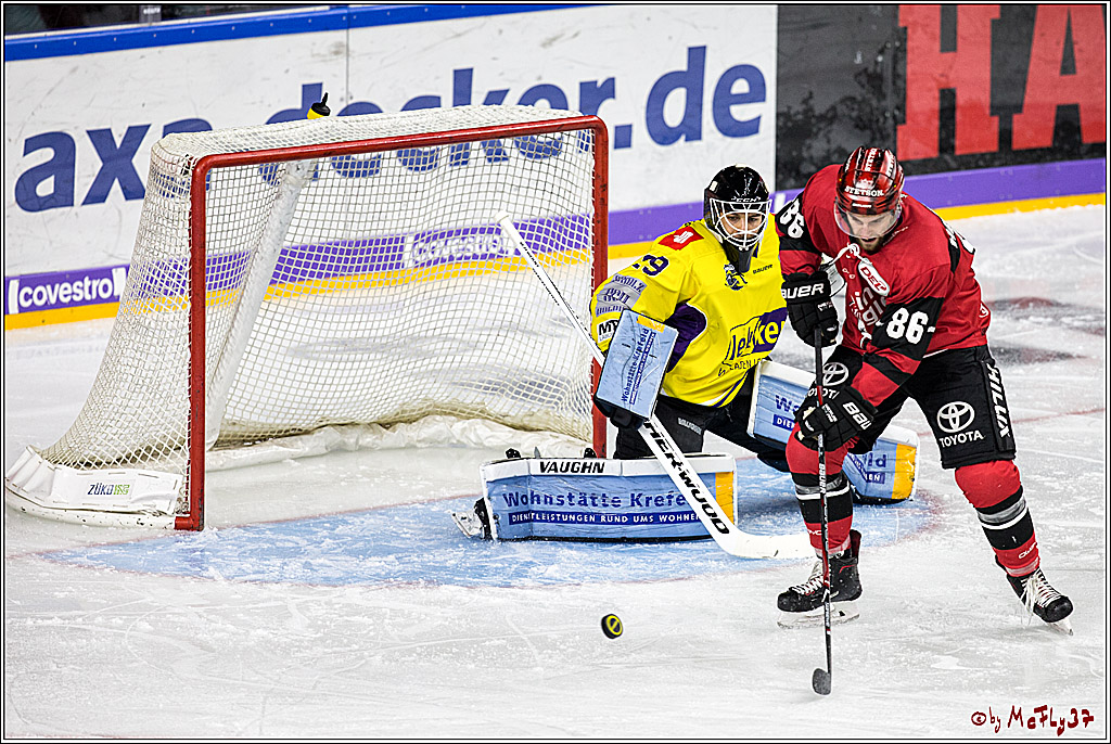 DEL, Koelner Haie - Krefeld Pinguine, 15.11.2017