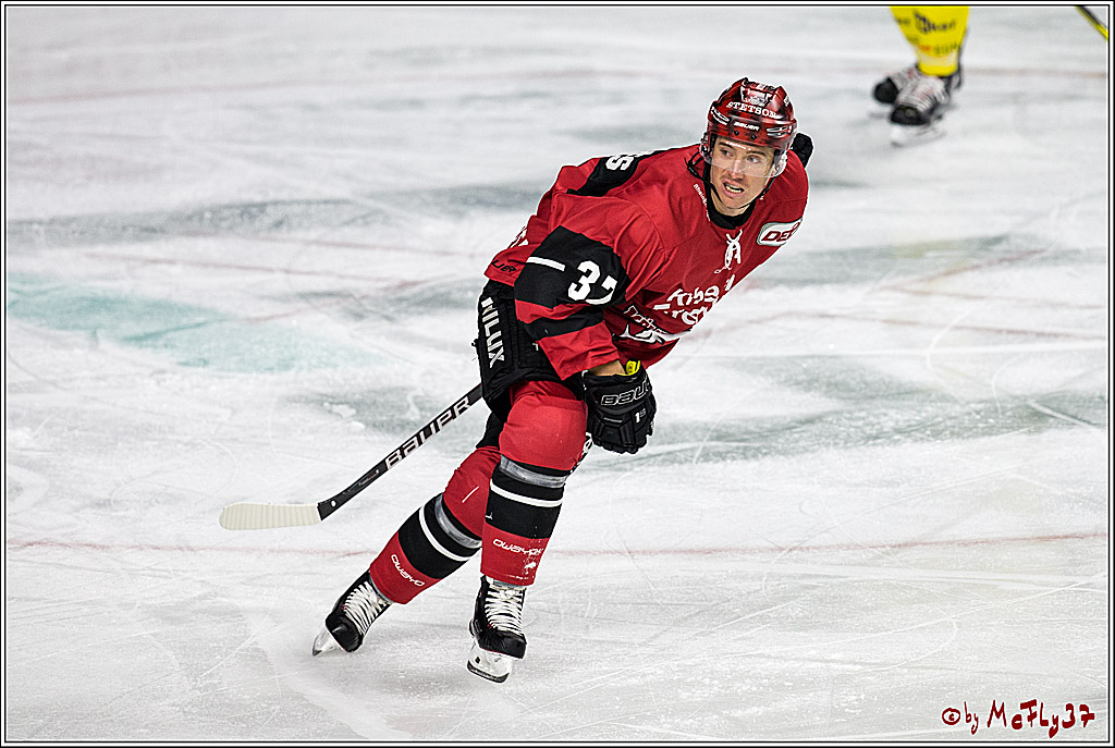 DEL, Koelner Haie - Krefeld Pinguine, 15.11.2017