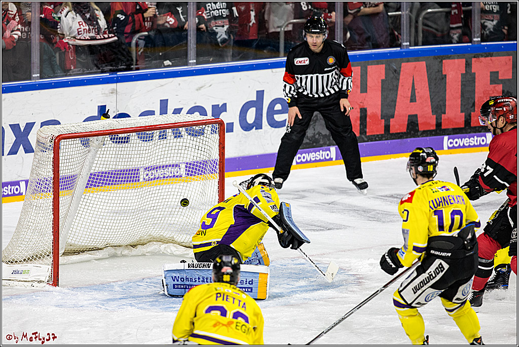 DEL, Koelner Haie - Krefeld Pinguine, 15.11.2017