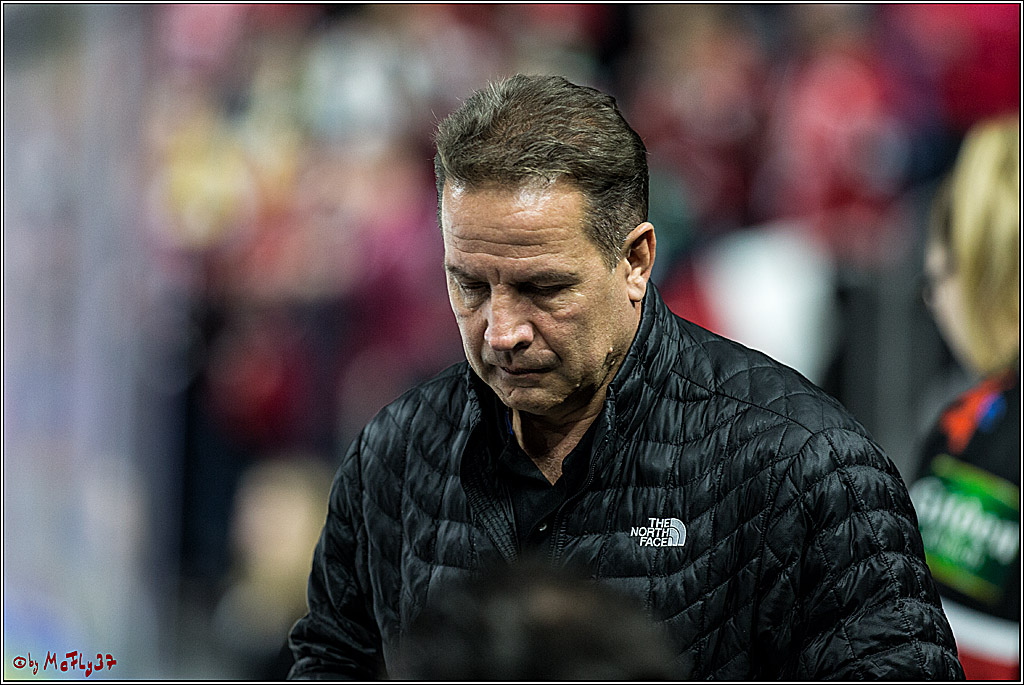 DEL, Koelner Haie - Krefeld Pinguine, 15.11.2017