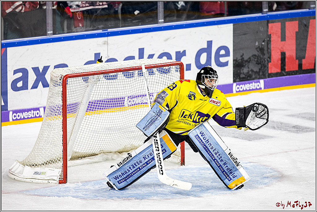 DEL, Koelner Haie - Krefeld Pinguine, 15.11.2017