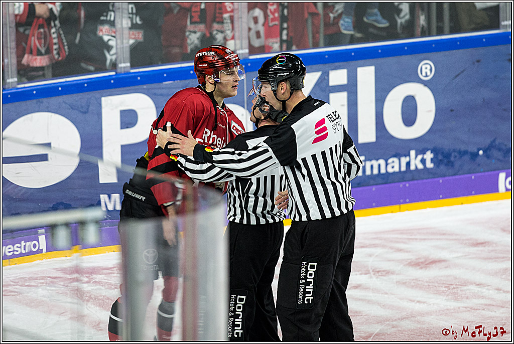 DEL, Koelner Haie - Krefeld Pinguine, 15.11.2017