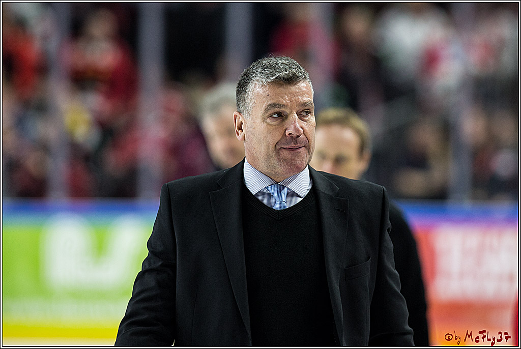 DEL, Koelner Haie - Krefeld Pinguine, 15.11.2017