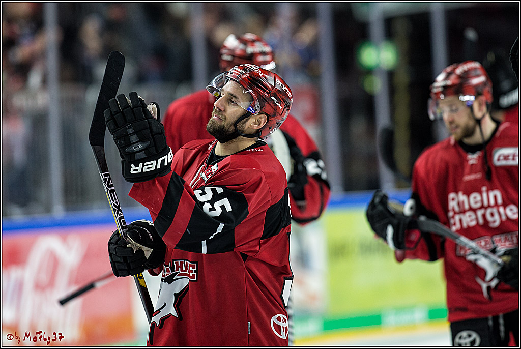 DEL, Koelner Haie - Krefeld Pinguine, 15.11.2017