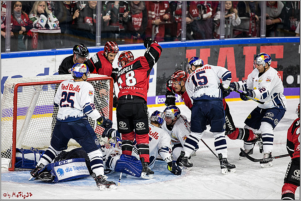 DEL, Koelner Haie - EHC Red Bull Muenchen, 19.11.2017
