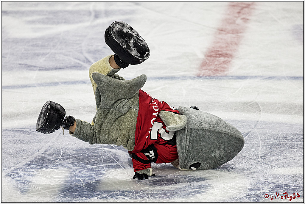 DEL, Koelner Haie - EHC Red Bull Muenchen, 19.11.2017