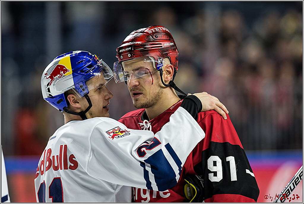 DEL, Koelner Haie - EHC Red Bull Muenchen, 19.11.2017