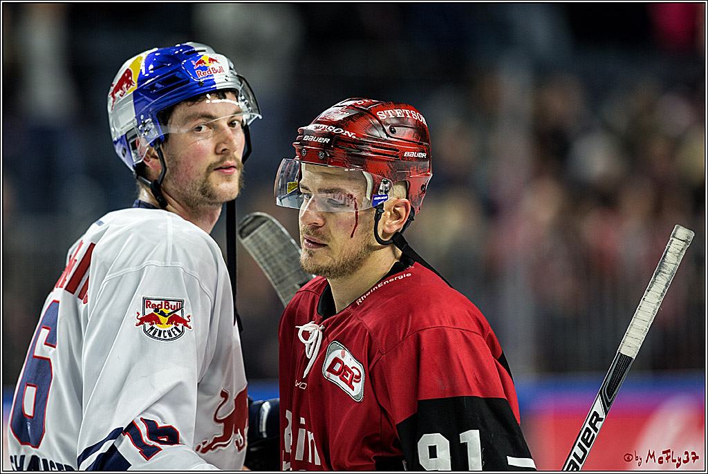 DEL, Koelner Haie - EHC Red Bull Muenchen, 19.11.2017