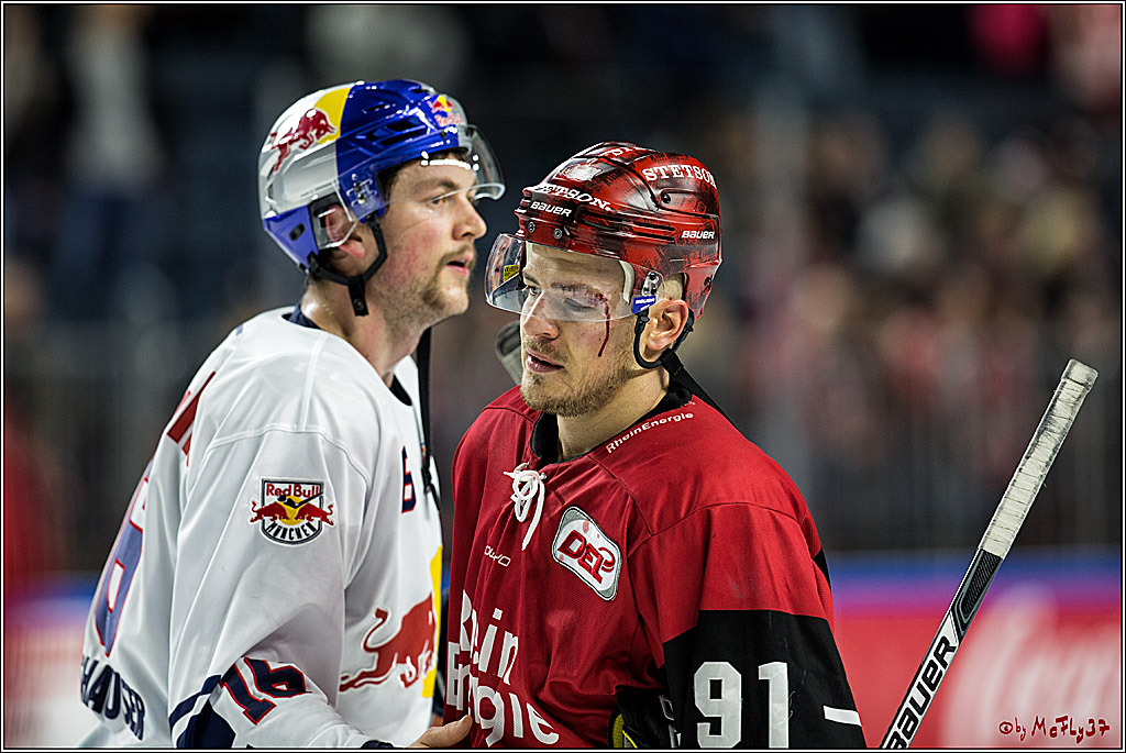 DEL, Koelner Haie - EHC Red Bull Muenchen, 19.11.2017