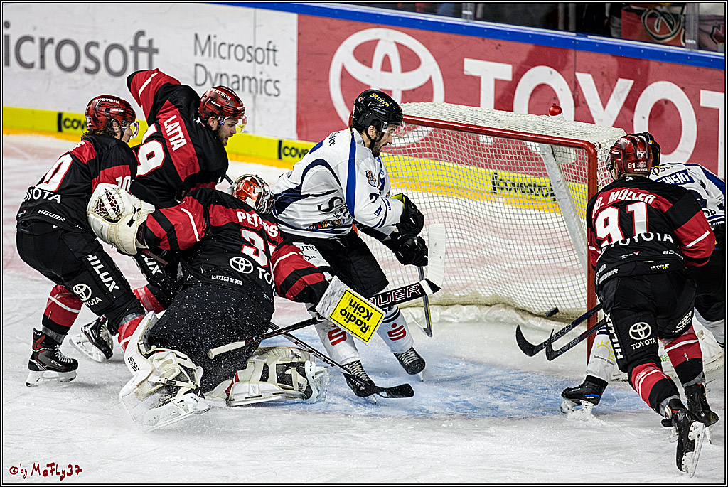 DEL, Koelner Haie - Straubing Tigers, 28.11.2017