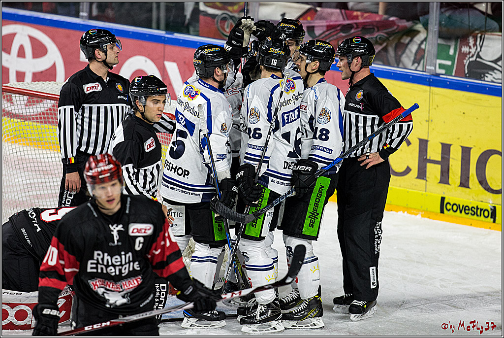 DEL, Koelner Haie - Straubing Tigers, 28.11.2017
