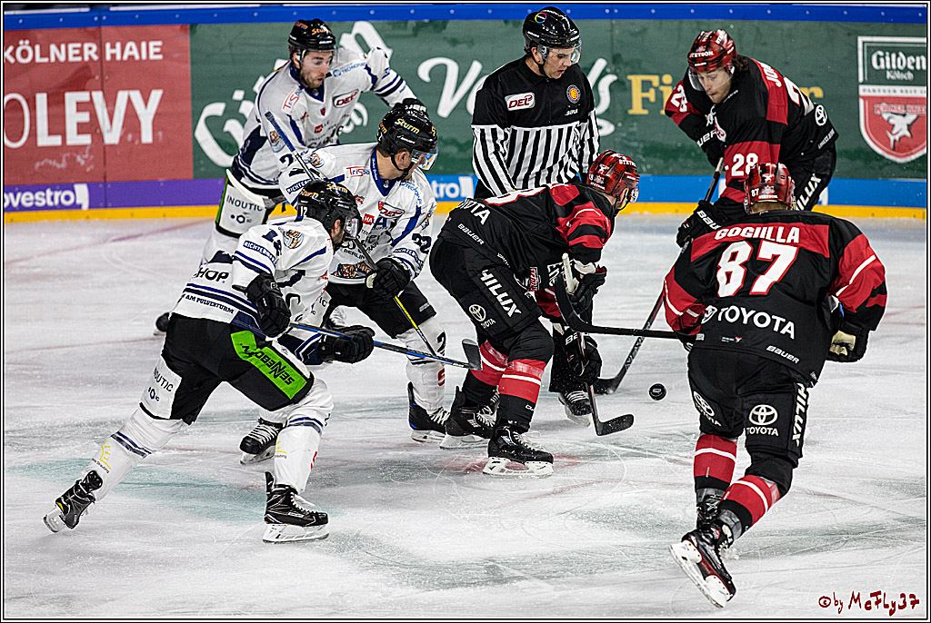 DEL, Koelner Haie - Straubing Tigers, 28.11.2017