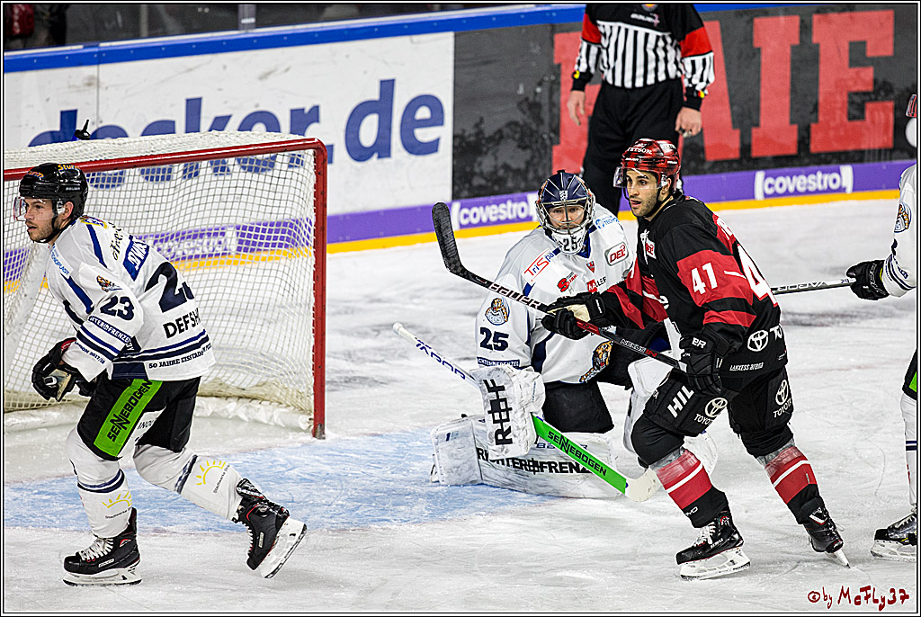 DEL, Koelner Haie - Straubing Tigers, 28.11.2017