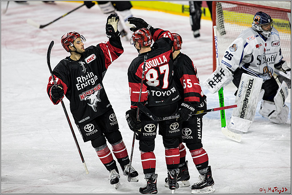 DEL, Koelner Haie - Straubing Tigers, 28.11.2017