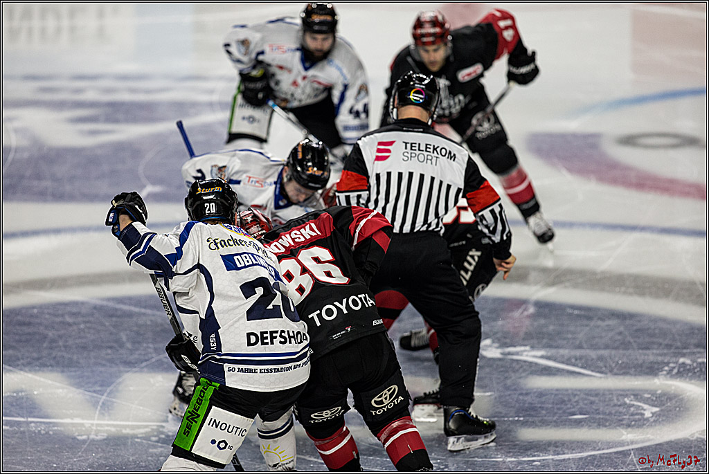 DEL, Koelner Haie - Straubing Tigers, 28.11.2017