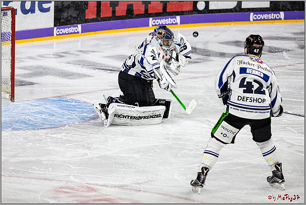 DEL, Koelner Haie - Straubing Tigers, 28.11.2017