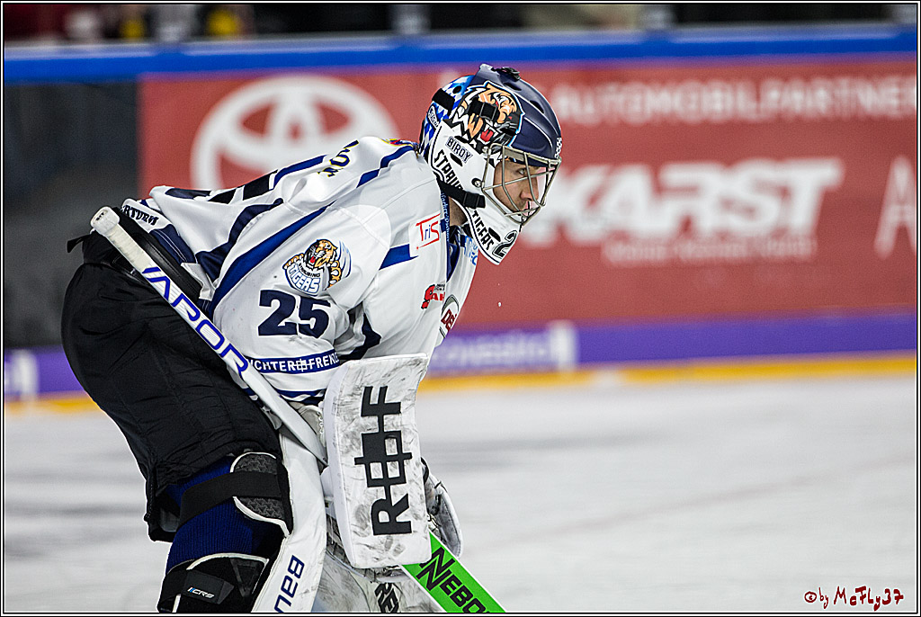 DEL, Koelner Haie - Straubing Tigers, 28.11.2017