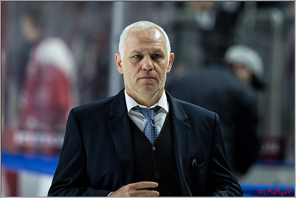 DEL, Koelner Haie - Straubing Tigers, 28.11.2017