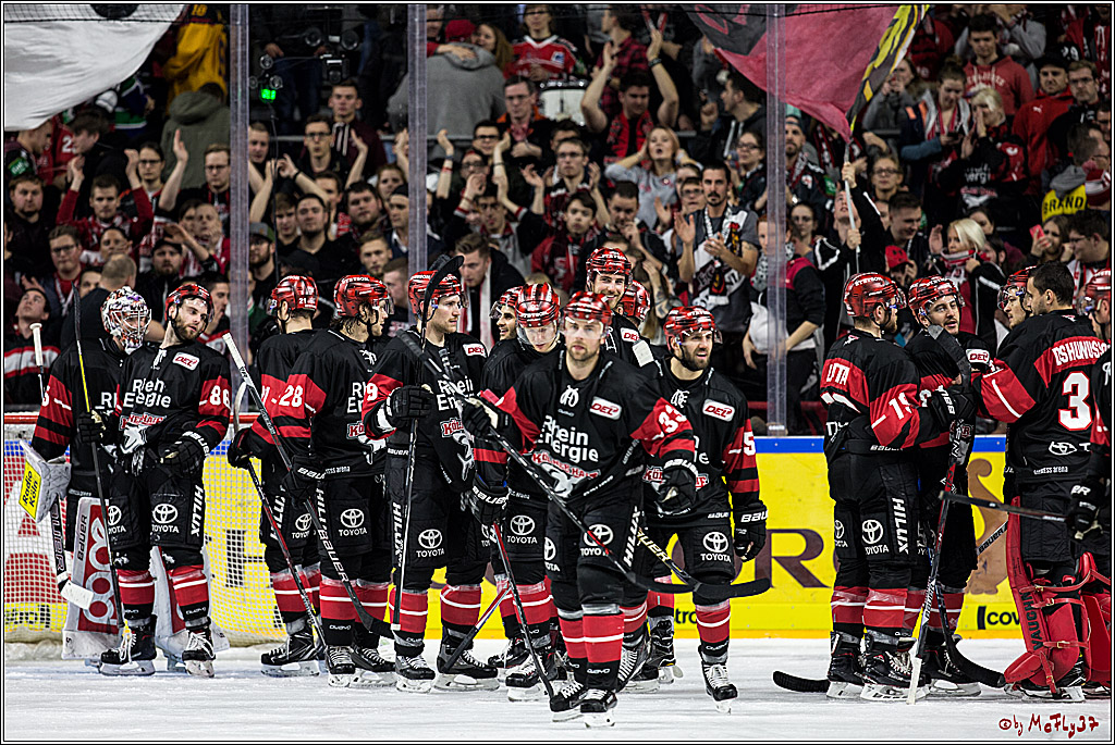DEL, Koelner Haie - Straubing Tigers, 28.11.2017