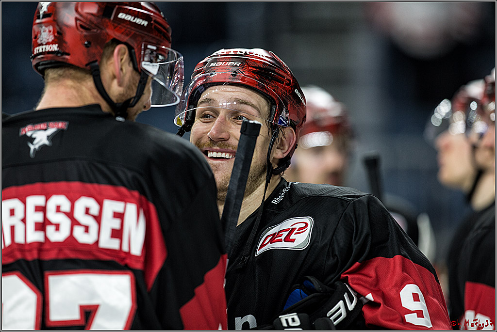 DEL, Koelner Haie - Straubing Tigers, 28.11.2017