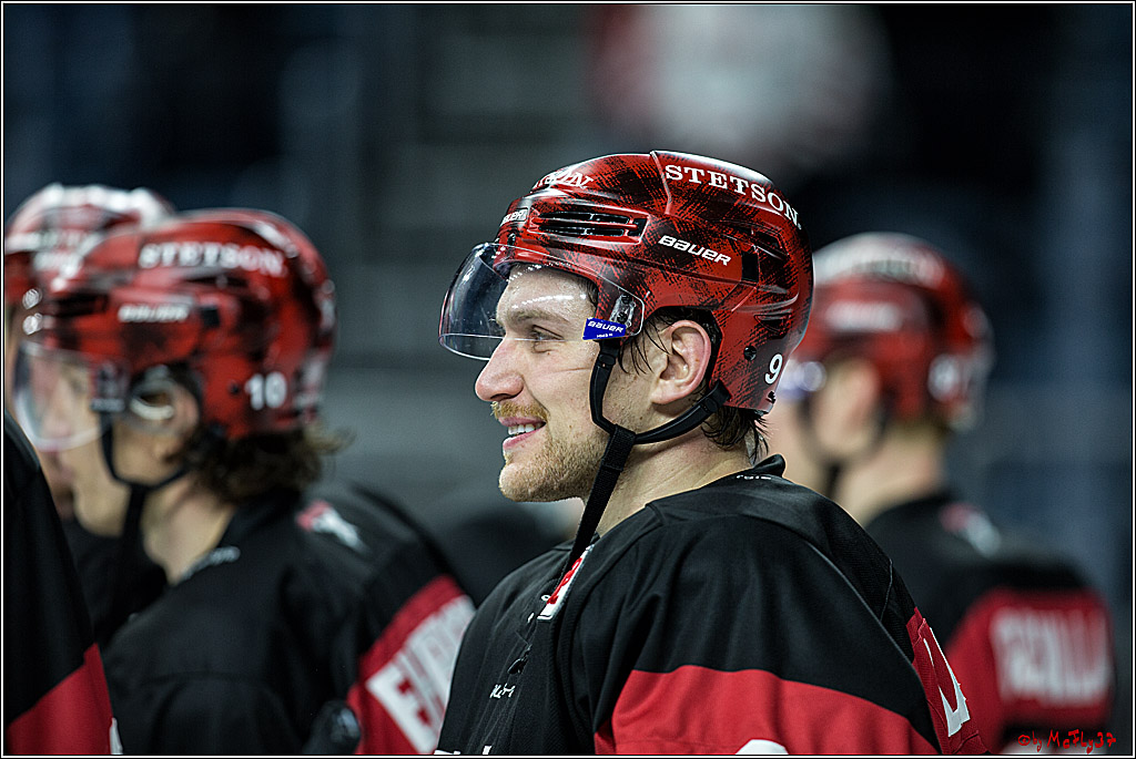 DEL, Koelner Haie - Straubing Tigers, 28.11.2017