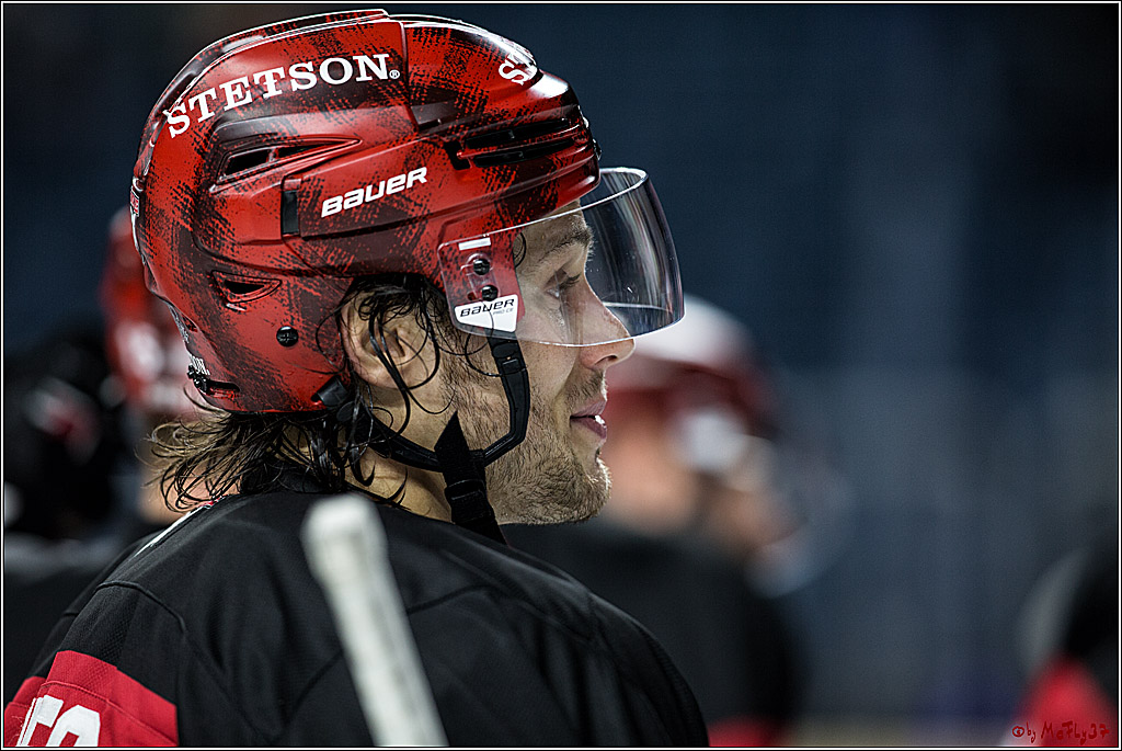DEL, Koelner Haie - Straubing Tigers, 28.11.2017