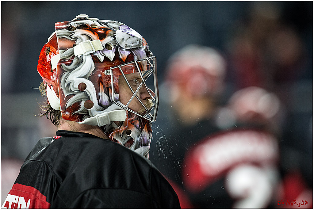DEL, Koelner Haie - Straubing Tigers, 28.11.2017