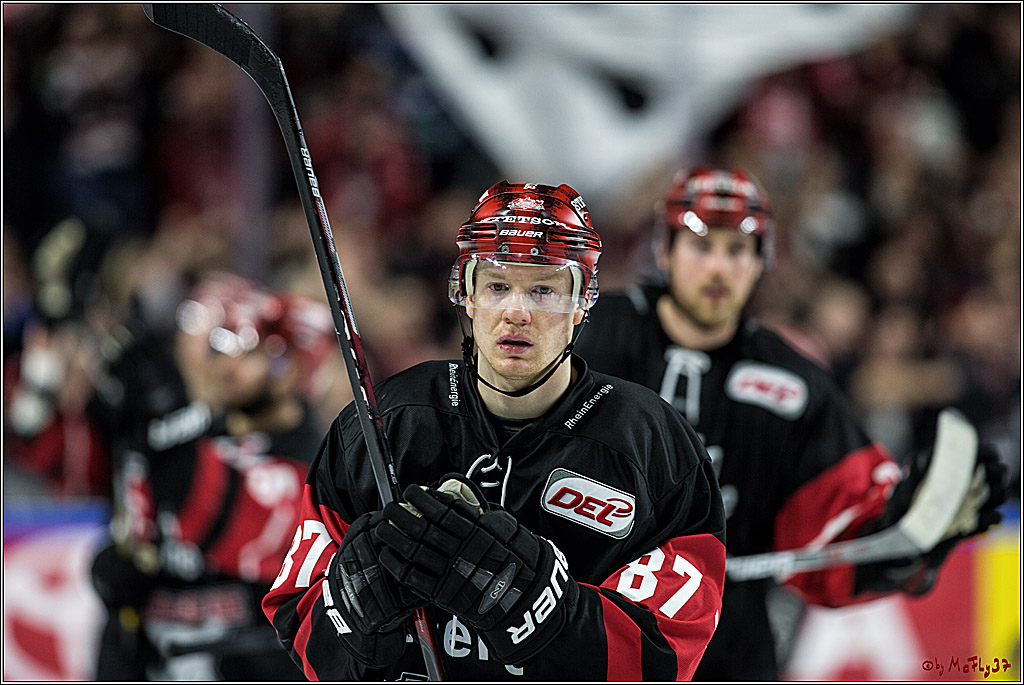 DEL, Koelner Haie - Straubing Tigers, 28.11.2017
