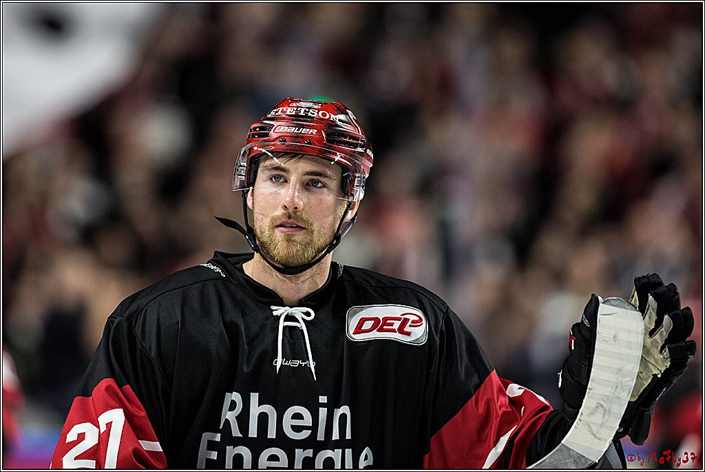 DEL, Koelner Haie - Straubing Tigers, 28.11.2017