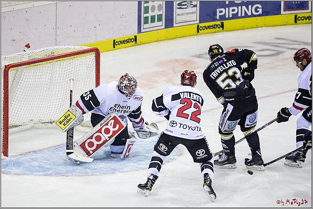 DEL, Krefeld Pinguine - Koelner Haie, 01.12.2017