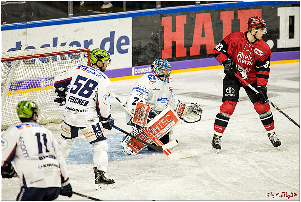 DEL, Koelner Haie - Iserlohn Rooster, 03.12.2017