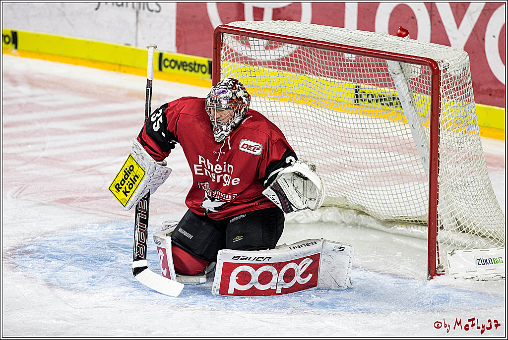 DEL, Koelner Haie - Iserlohn Rooster, 03.12.2017