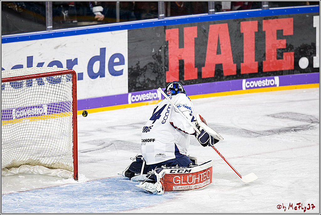 DEL, Koelner Haie - Iserlohn Rooster, 03.12.2017