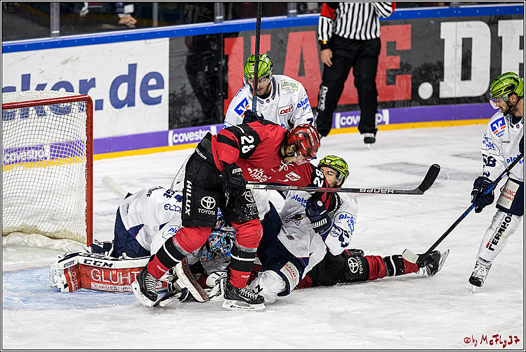DEL, Koelner Haie - Iserlohn Rooster, 03.12.2017