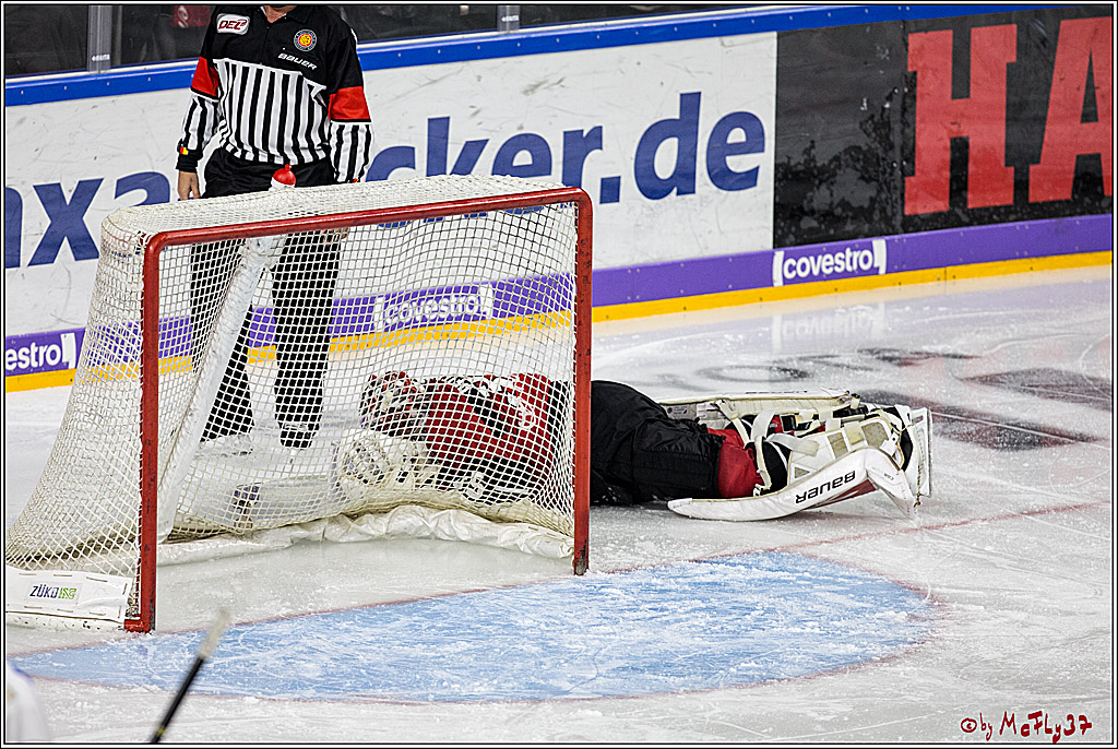 DEL, Koelner Haie - Iserlohn Rooster, 03.12.2017