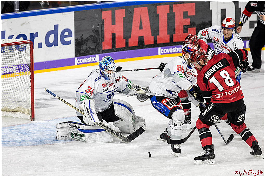 DEL, Koelner Haie - Schwenninger Wild Wings, 07.12.2017