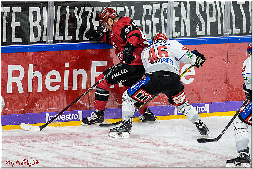 DEL, Koelner Haie - Schwenninger Wild Wings, 07.12.2017