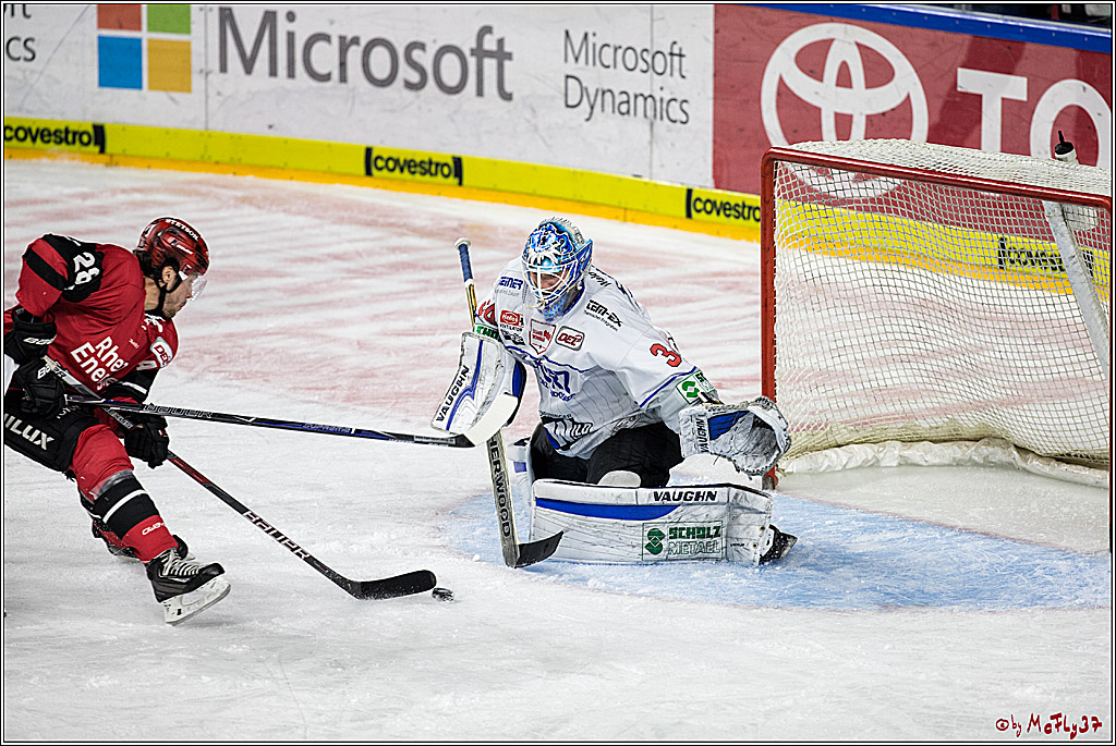 DEL, Koelner Haie - Schwenninger Wild Wings, 07.12.2017