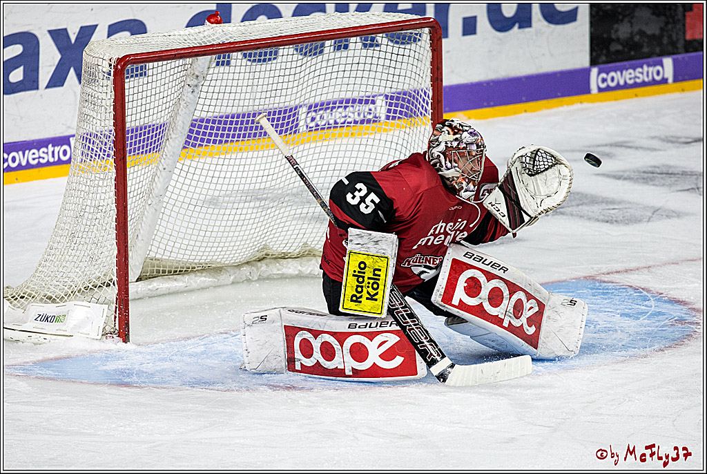 DEL, Koelner Haie - Schwenninger Wild Wings, 07.12.2017