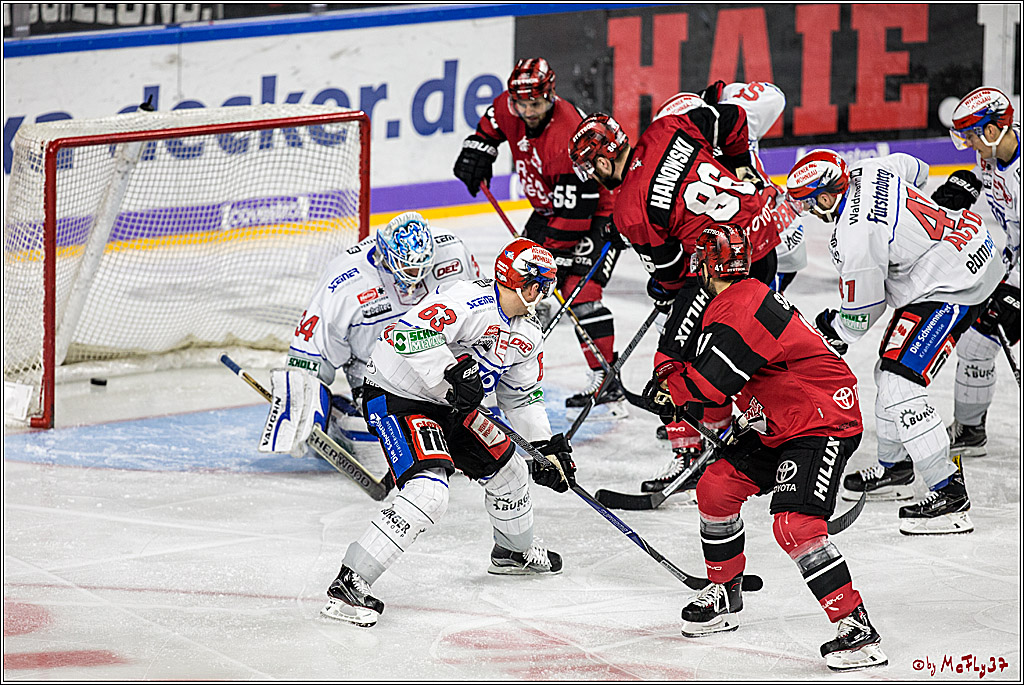 DEL, Koelner Haie - Schwenninger Wild Wings, 07.12.2017