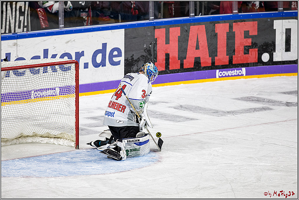 DEL, Koelner Haie - Schwenninger Wild Wings, 07.12.2017