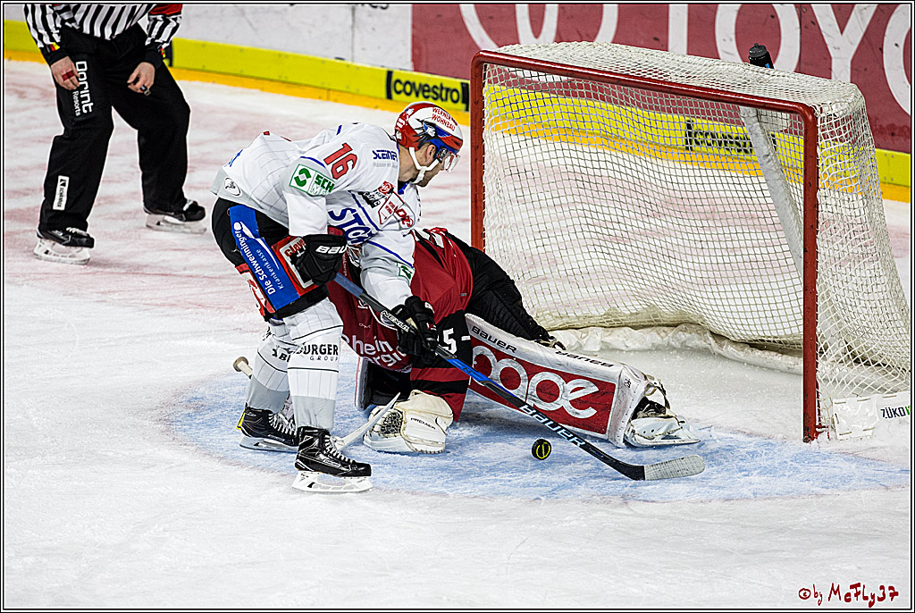 DEL, Koelner Haie - Schwenninger Wild Wings, 07.12.2017
