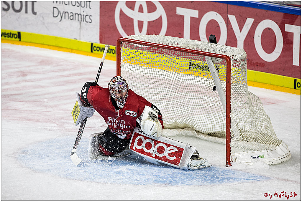 DEL, Koelner Haie - Schwenninger Wild Wings, 07.12.2017